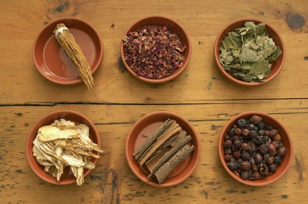طب سنتی,گیاهان دارویی در طب سنتی,طب سنتی و مزاج درمانی