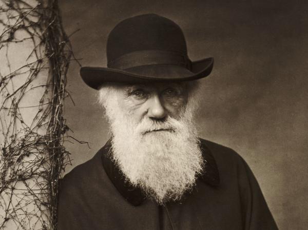 چارلز داروین,آثار چارلز داروین,عکس چارلز داروین