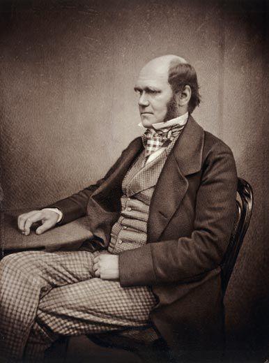 بیوگرافی چارلز داروین,نظریه انتخاب طبیعی چارلز داروین,چارلز داروین
