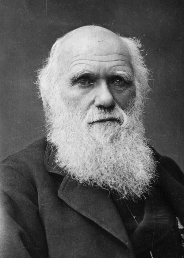 چارلز داروین زندگی نامه,چارلز رابرت داروین,بیوگرافی چارلز داروین