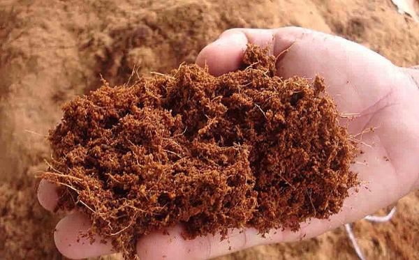 موارد استفاده از خاک کوکوپیت