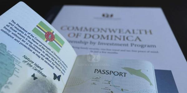 وضعیت برنامه شهروندی اقتصادی کشور دومینیکا,دولت دومینیکا,عوامل تاثیر گذار در برنامه‌های شهروندی اقتصادی کشور دومینیکا