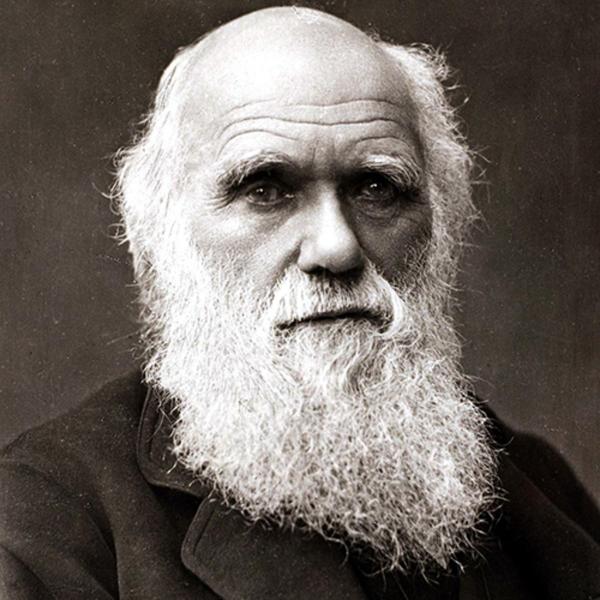نظریه داروین درباره ادیان,تکامل انسان نظریه داروین,بررسی نظریه تکامل داروین