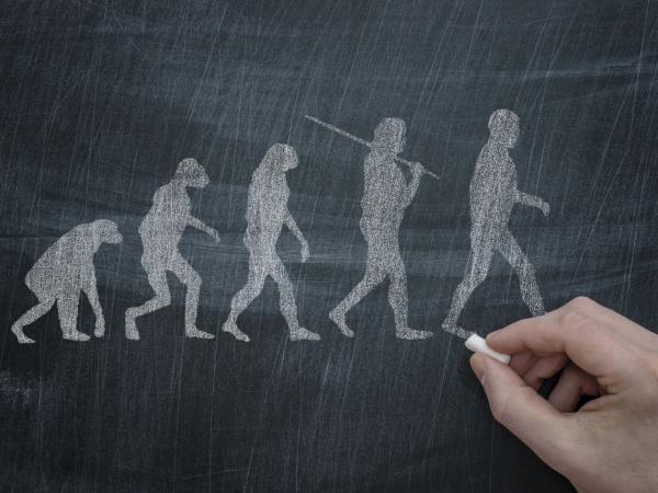 نظریه تکامل داروین چیست,نظریه داروین و اسلام,نظریه تکامل داروین
