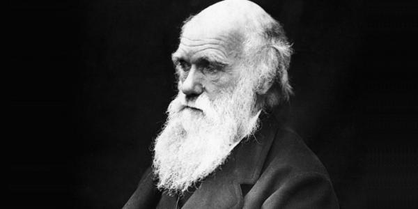 نظریه داروین,نظریه داروین واجدادانسانها,نظریه داروین چیست