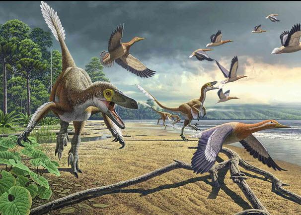 دایناسورها,پرندگان تکامل یافته,تکامل پرندگان و دایناسورها