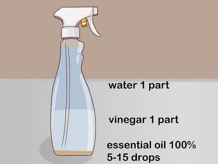 ساخت مواد ضد عفونی کننده با سرکه,نحوه درست کردن مایع ضدعفونی کننده,تهیه ی اسپری ضد عفونی کننده با الکل,مواد ضدعفونی کننده طبیعی,روغن های ضد عفونی کننده