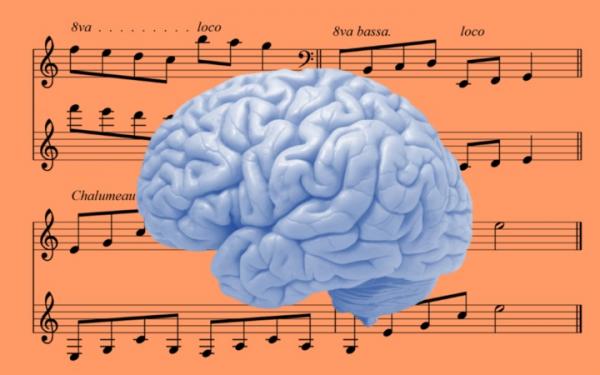تاثیر انواع موسیقی بر مغز
