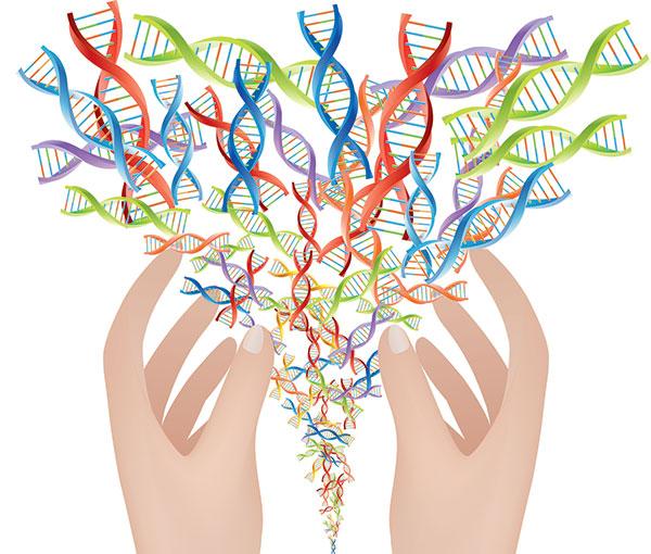 ژنوم انسان چیست,پروژه ی ژنوم انسان,ژنوم