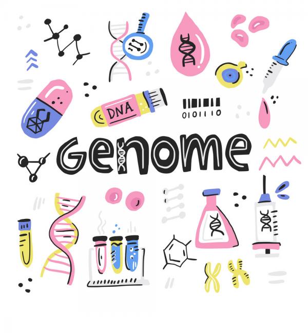 ژنوم,پروژه ژنوم انسان,بیماری های ژنتیکی بشر