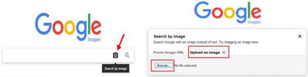 سرچ عکس در گوگل,بهترین روش سرچ عکس در گوگل,جستجوی عکس در گوگل