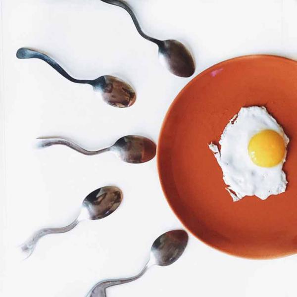 تاثیر مثبت تخم مرغ بر افزایش منی در مردان