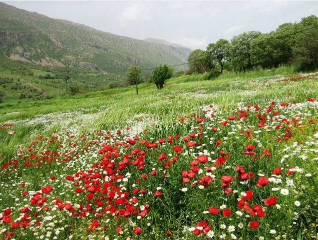 کردستان,جاهای دیدنی کردستان,طبیعت کردستان