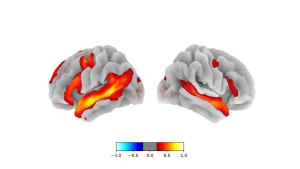 How Our Brain Produces Language and Thought, According to Neuroscientists - The New York Times