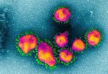 دانستنی هایی درباره کرونا ویروس,کرونا ویروس,علائم کرونا ویروس,راه های درمان کرونا ویروس,انواع ویروس کرونا