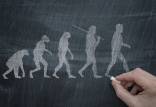 نظریه تکامل داروین چیست,نظریه داروین و اسلام,نظریه تکامل داروین