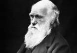 نظریه داروین,نظریه داروین واجدادانسانها,نظریه داروین چیست
