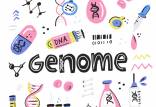 ژنوم,پروژه ژنوم انسان,بیماری های ژنتیکی بشر