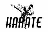 کاراته,کیوکوشین کاراته,بازی کاراته