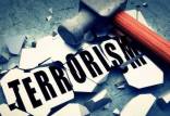 تروریسم,تروریسم سازمانی,تروریسم دولتی