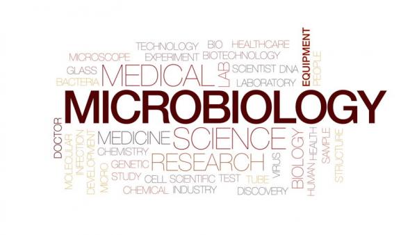 ,منابع ارشد رشته میکروبیولوژی,رشته میکروبیولوژی,کارشناسی ارشد رشته میکروبیولوژی