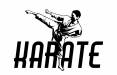 کاراته,کیوکوشین کاراته,بازی کاراته