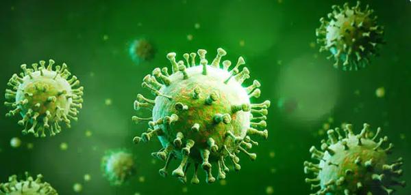 فصل شیوع آنفولانزا,پیشگیری از ویروس آنفولانزای شتری,علائم آنفولانزا شتری
