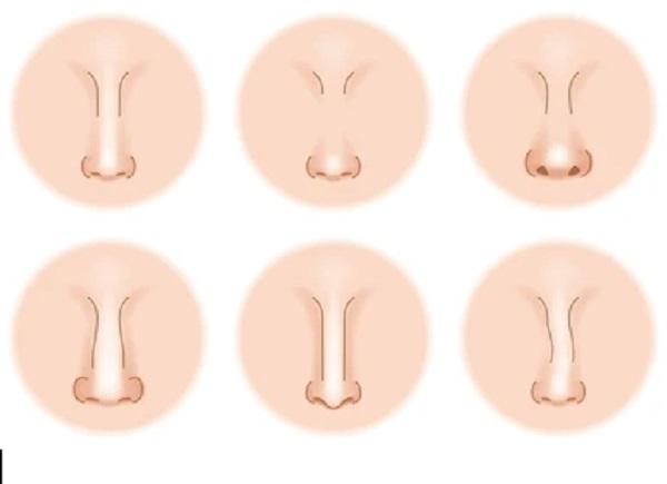Nose contour method