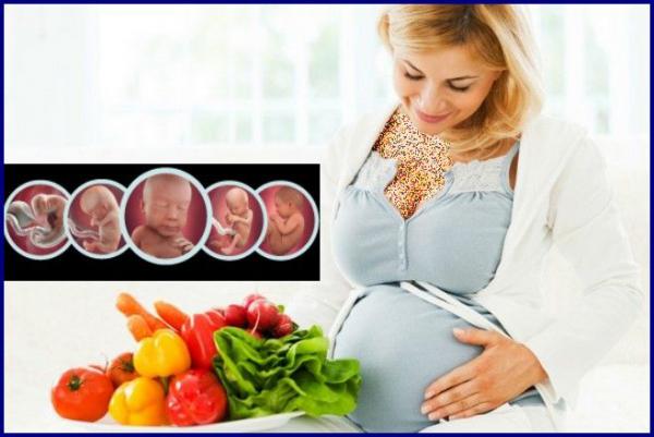 تغذیه دوران بارداری,تغذیه دوران بارداری ماه به ماه,تغذیه دوران بارداری مادران