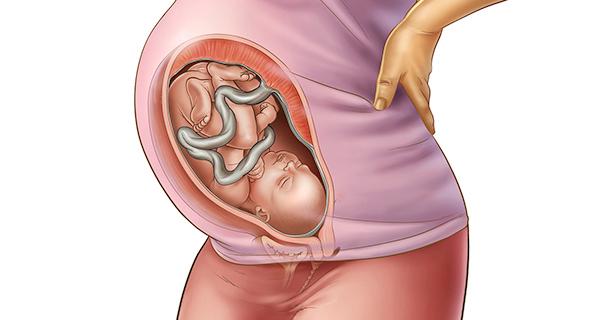 تغذیه دوران بارداری ماه به ماه,بهترین نوع تغذیه دوران بارداری,تغذیه دوران بارداری