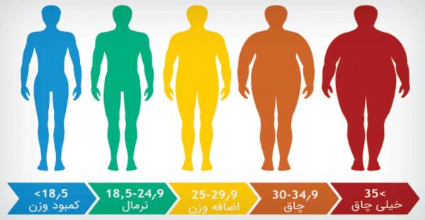 افزایش چاقی و اضافه وزن,راز تناسب اندام,بررسی عوامل چاقی