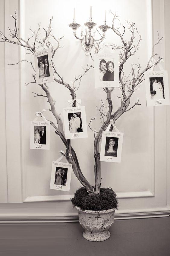 ایده درخت قاب عکس در دکوراسیون