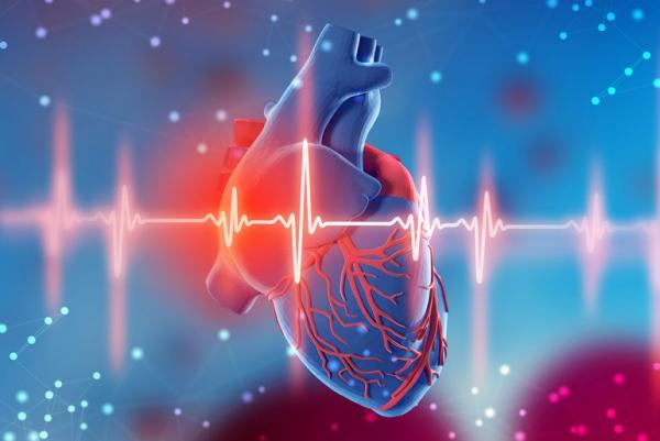 علائم و راه های پیشگیری از سکته قلبی