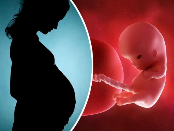 ماه دوم بارداری,غذاهای مناسب ماه دوم بارداری,جنین در ماه دوم بارداری