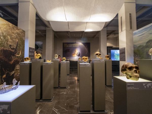 موزه ملی در تفلیس، جاهای دیدنی تفلیس