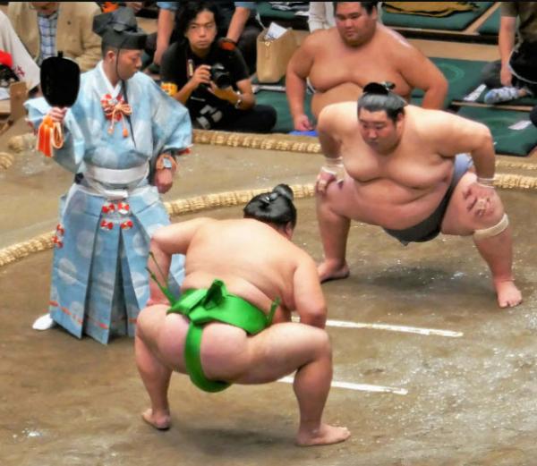 ورزش رزمی سومو