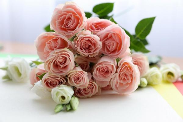 گل رز,گل فروشی آنلاین,خرید باکس گل ارزان قیمت از سولین بازار