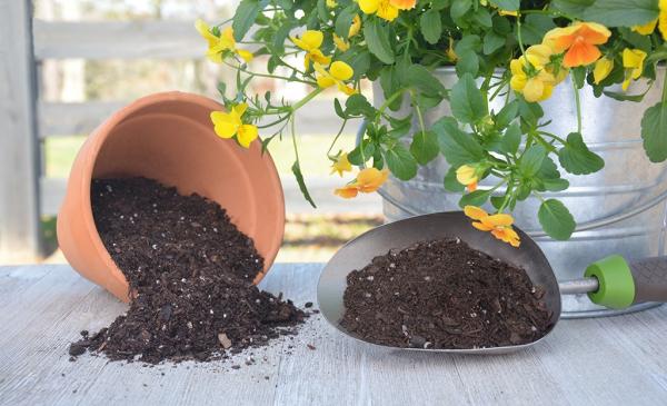 انواع خاک گل مورد نیاز برای گیاهان,خاک گل مناسب برای گیاهان,انواع خاک گل مورد نیاز برای گل و گیاه 