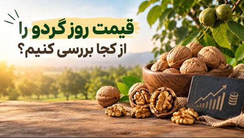 قیمت روز گردو را از کجا بررسی کنیم؟ قیمت روز گردو را از کجا بررسی کنیم؟
