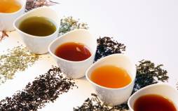آشنایی با انواع چای لاغری و مزایا و معایب آن چای لاغری,بهترین چای لاغری,طرز تهیه چای لاغری