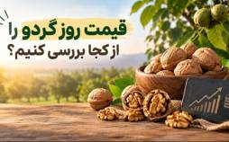 قیمت روز گردو را از کجا بررسی کنیم؟ نگاهی به فعالیت «پوست کاغذی» در بازار گردو قیمت روز گردو را از کجا بررسی کنیم؟