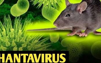 هانتاویروس چیست و چه علائمی دارد؟ روش های پیش گیری از ابتلا به هانتاویروس,اطلاعاتی در مورد هانتاویروس,هانتاویروس